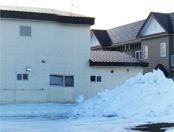 ���n�B�e�ʐ^